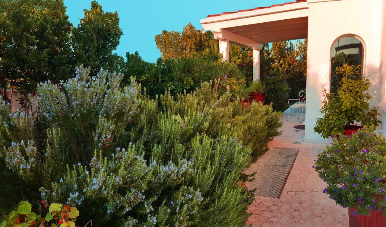 Hotel White House Luxury Hospitality Olbia Zewnętrze zdjęcie
