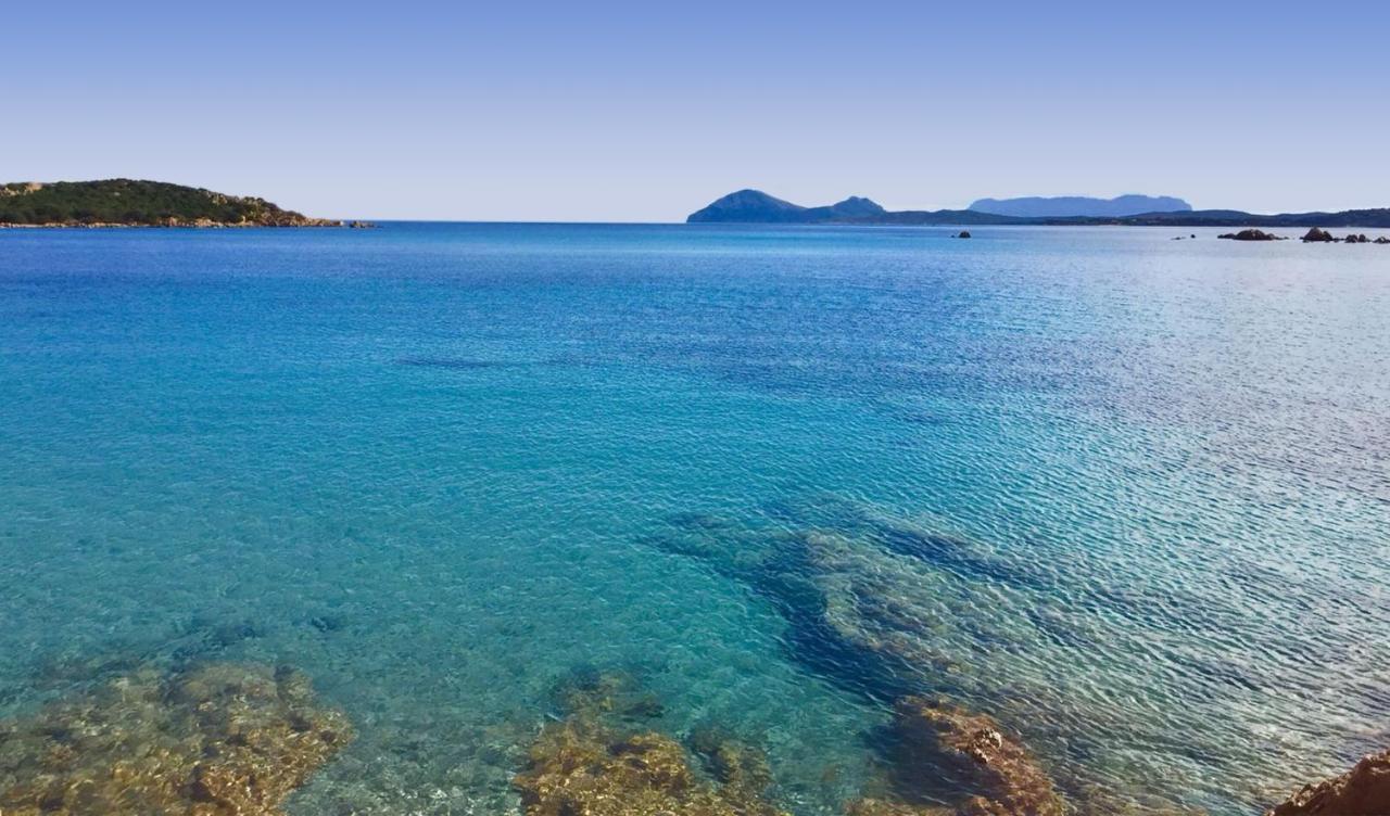 Hotel White House Luxury Hospitality Olbia Zewnętrze zdjęcie