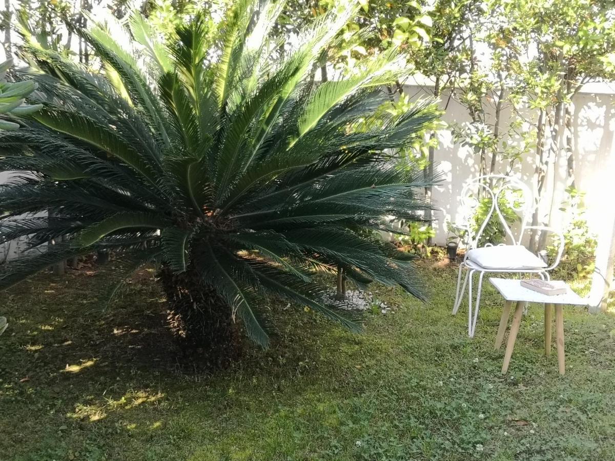 Hotel White House Luxury Hospitality Olbia Zewnętrze zdjęcie